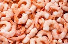 Frozen Prawns